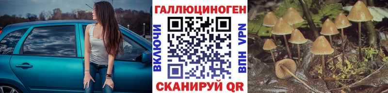 где найти Устюжна Псилоцибиновые грибы мухоморы